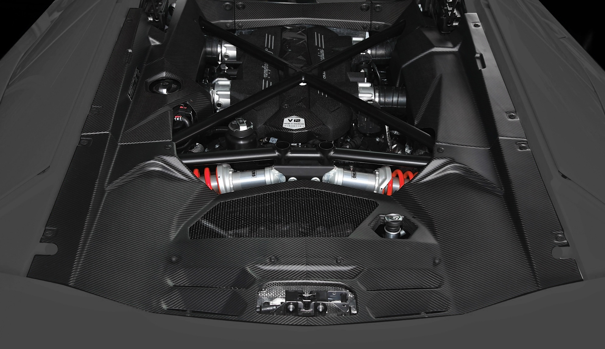 Lamborghini Aventador Engine Cover Carbon Fiber - DMC