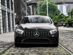 Mercedes Benz C53 W257 C257 Carbon Fiber Panamericana GT Front Grill