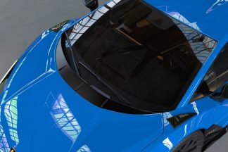 Lamborghini Revuelto "Schuhmacher" Edition Front Fenders Vented Carbon Fiber Bird Top View