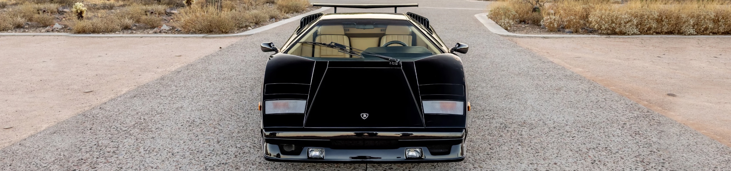 Lamborghini Countach Carbon Fiber Body Panels